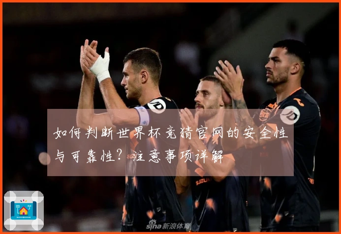 如何判断世界杯竞猜官网的安全性与可靠性？注意事项详解